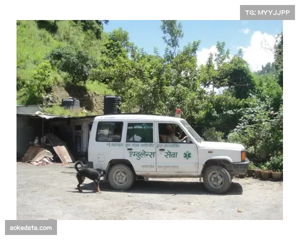 车轮上的守护：尼泊尔山区自行车救护车项目挽救母婴生命